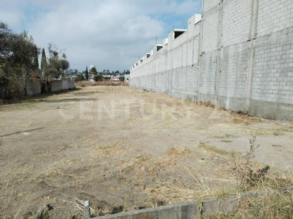 PRIVADA ZARAGOZA 7, Tlaxcala, Tlaxcala 90110, Meksika