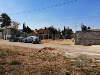 PRIVADA ZARAGOZA 7, Tlaxcala, Tlaxcala 90110, Meksika