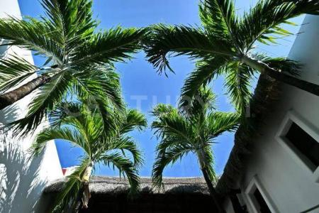 Boulevard Kukulcan 0, Cancún/Benito Juárez, Quintana Roo 77500, México