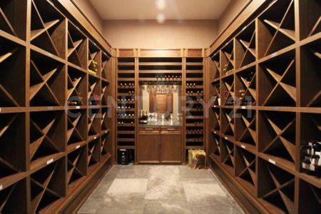 García, Nuevo León 66010, Messico