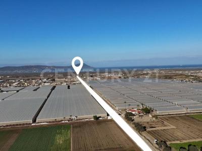 PARCELA DE LA ZONA SALITRAL DEL EJIDO NACIONALISTA DEE S.T. ENSENADA BAJA CALIFORNIA NO. 576, Ensenada, Baja California 22792, Mexico