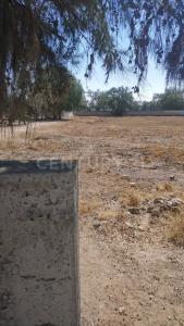 camino a san sebastian sn 0, Zumpango, Estado De Mexico 55600, Mexico