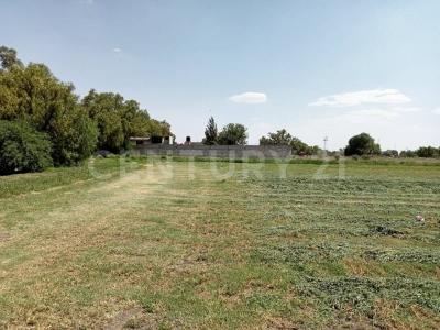 Braniff Barrio santiago Primera seccion S/N, Zumpango, Meksyk (stan) 55600, Meksyk