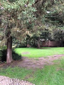 Lafayette 67, Sección Omega, Lt. 6, Alvaro Obregón, Ciudad De México 01810, 墨西哥