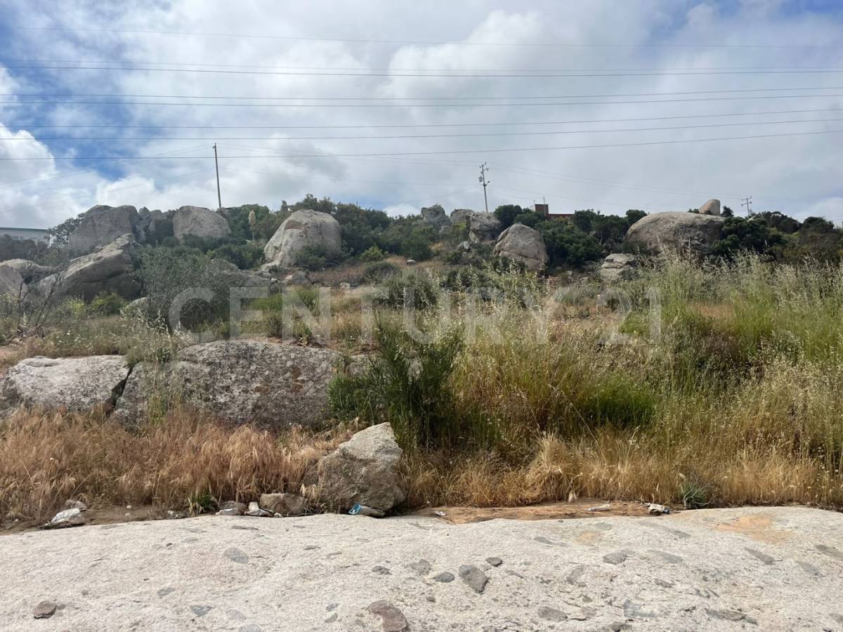 FRACCIONAMIENTO LAS TORRES, TECATE 007, Tecate, Basse-Californie 21401, Mexique