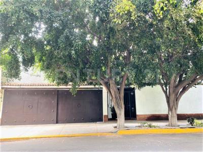 Corina 134, Coyoacán, Ciudad De México 04100, Mexico