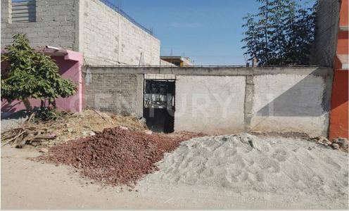 Margaritas , Acolman, Estado De México 55883, Mexico