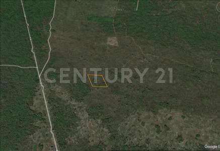 Mérida, Yucatán 97300, Mexico