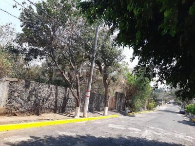 Terranova S/n, Cuernavaca, Morelos 62340, Mexique