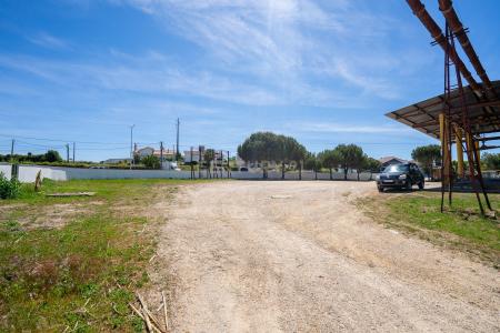 Arruda Dos Vinhos, Lisbon 2630-162, Portugal