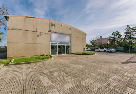 Palmela, Setúbal 2955-082, Portugal