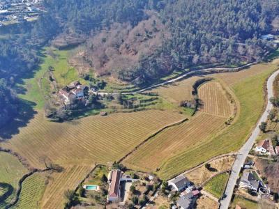 Amarante, Porto 4600-751, Portekiz