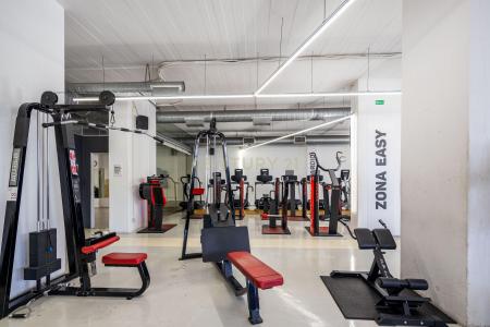 Loures, Lisbon 2695-309, Portugal