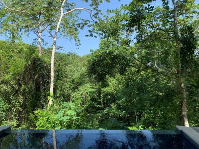  , San Ignacio, San Ignacio, Cayo 00001, 貝里斯