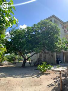  , Caye Caulker, Caye Caulker, Caye Caulker 00001, Belize