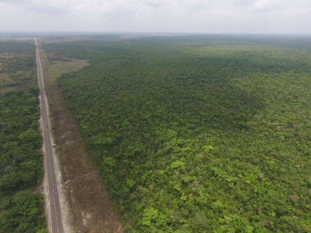 Belize District, Belize District, Belize District 00001, Belize