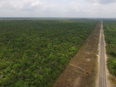 Belize District, Belize District, Belize District 00001, ベリーズ