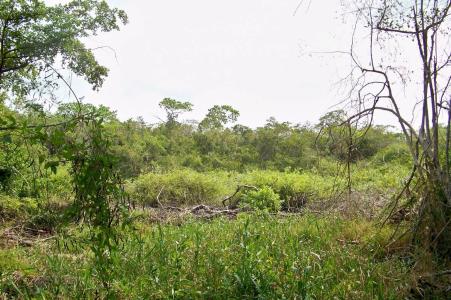 Belize District, Belize District, Belize District 00001, Belize