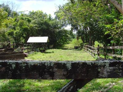 Ladyville, Ladyville, Belize District 00001, Belice