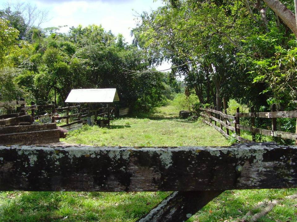 Ladyville, Ladyville, Belize District 00001, Belize