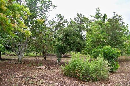 Belize District, Belize District, Belize District 00001, Belize