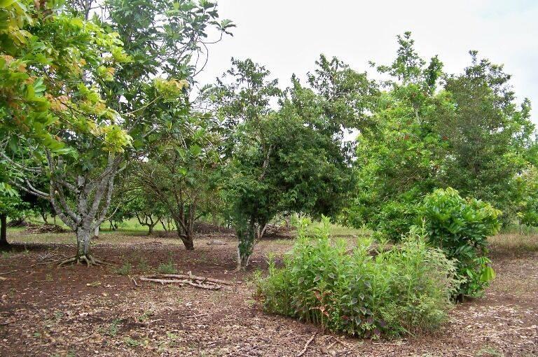 Belize District, Belize District, Belize District 00001, Belize