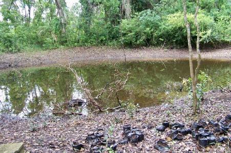 Belize District, Belize District, Belize District 00001, Belize