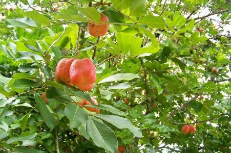 Belize District, Belize District, Belize District 00001, Belize