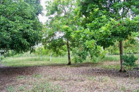 Belize District, Belize District, Belize District 00001, Belize