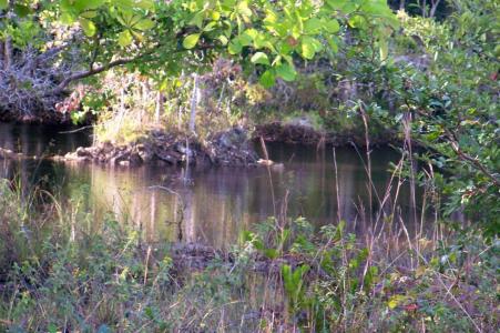 Belize District, Belize District, Belize District 00001, Belize