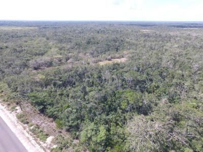 Belize District, Belize District, Belize District 00001, Belize