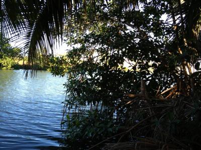 Vista Del Mar, Vista Del Mar, Belize District 00001, Belize