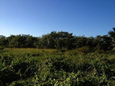 Vista Del Mar, Vista Del Mar, Belize District 00001, Belize