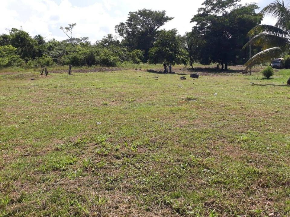 Belmopan, Belmopan, Cayo 00001, 貝里斯