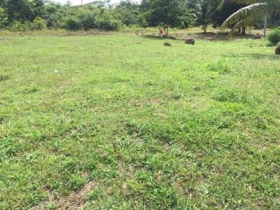 Belmopan, Belmopan, Cayo 00001, 貝里斯