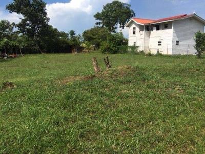 Belmopan, Belmopan, Cayo 00001, 貝里斯