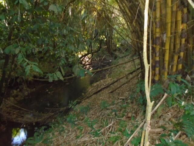 Jacintoville, Jacintoville, Toledo 00001, Belice