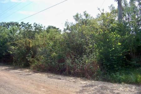 Gales Point, Gales Point, Belize District 00001, Belize