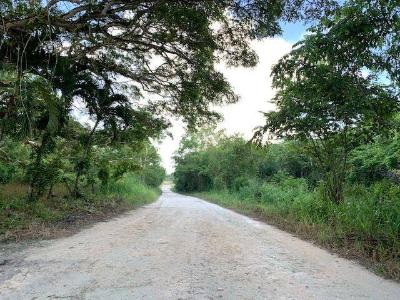 Rancho Dolores, Rancho Dolores, Belize District 00001, Belize