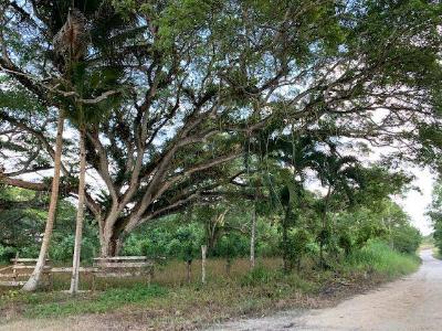 Rancho Dolores, Rancho Dolores, Belize District 00001, Belize