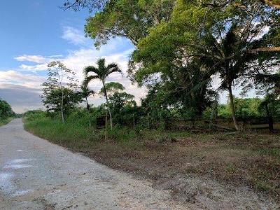 Rancho Dolores, Rancho Dolores, Belize District 00001, Belize