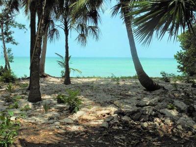 Sarteneja Village, Sarteneja Village, Corozal 00001, Belize