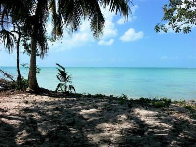 Sarteneja Village, Sarteneja Village, Corozal 00001, Belize