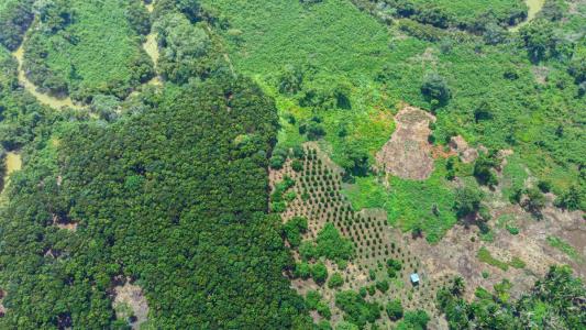 Belize District 00001, Belice