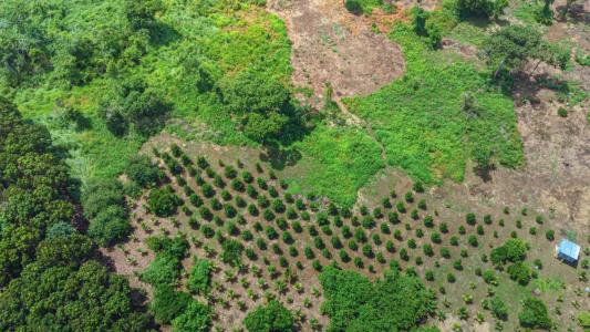 Belize District 00001, Belize