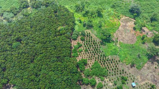 Belize District 00001, Belize