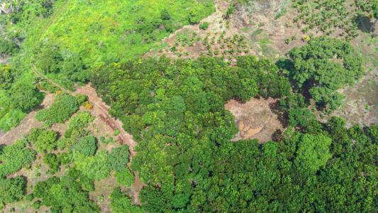 Belize District 00001, Belize