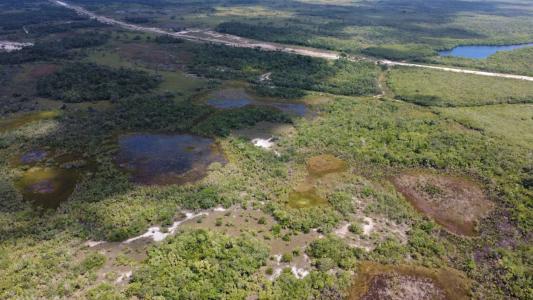 Belize District, Belize District, Belize District 00001, Belice