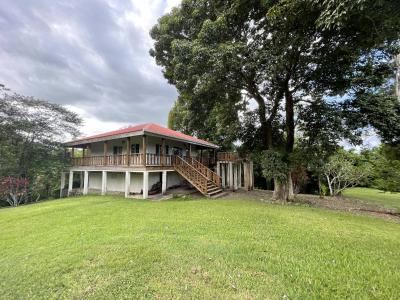 Unitedville, Unitedville, Cayo 00001, Belize