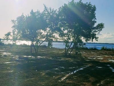 Placencia Village, Placencia Village, Placencia Peninsula 00001, 貝里斯